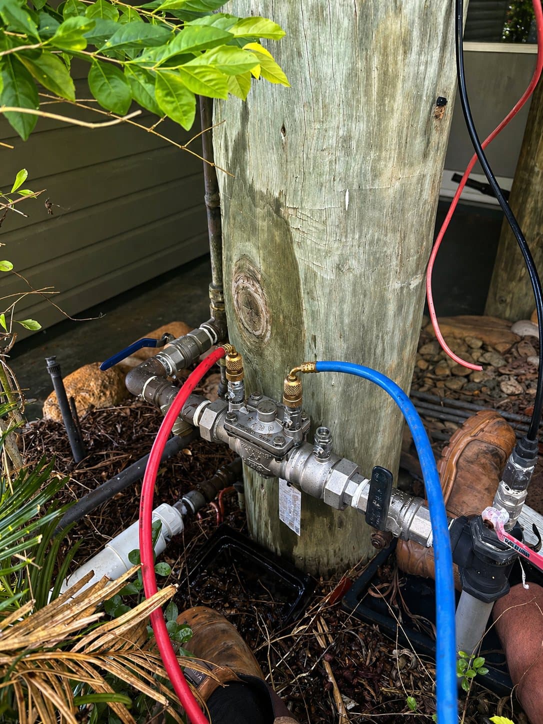 Backflow prevention device